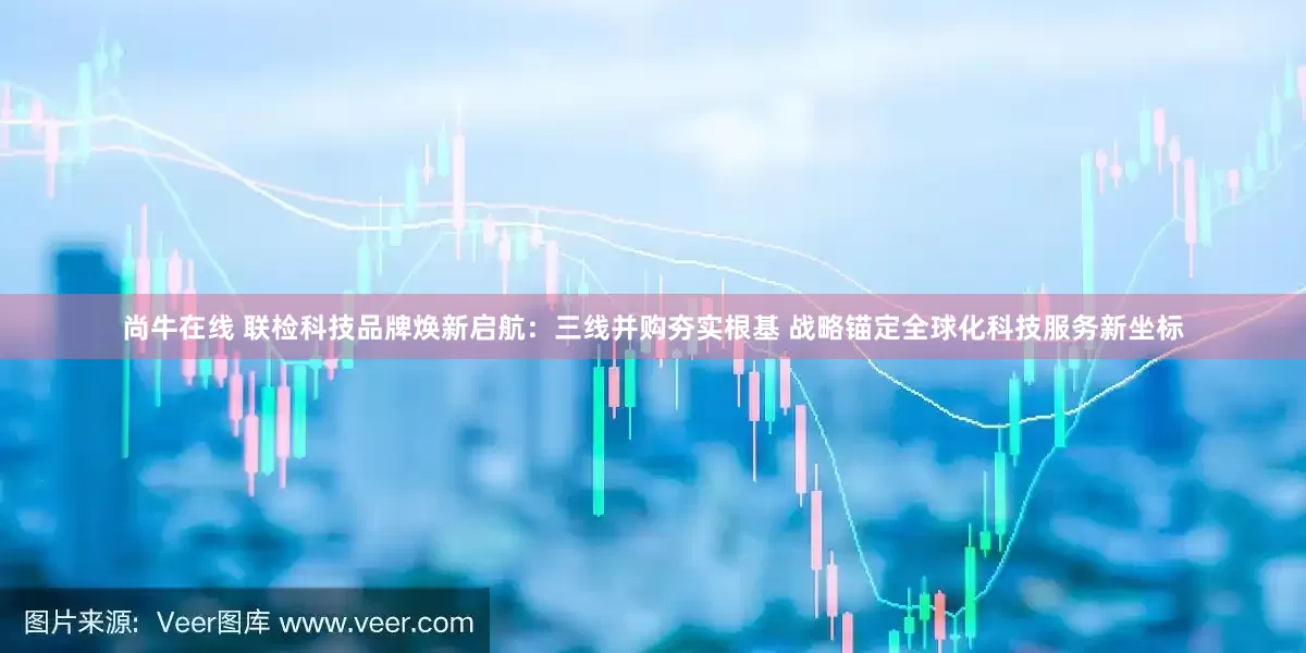 尚牛在线 联检科技品牌焕新启航：三线并购夯实根基 战略锚定全球化科技服务新坐标