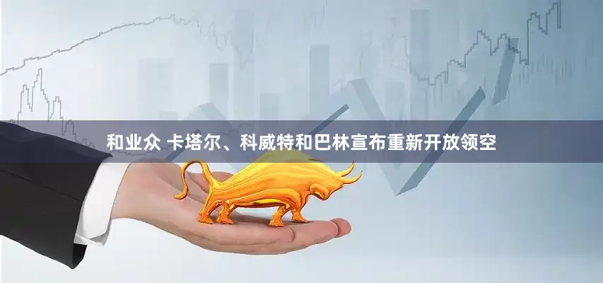 和业众 卡塔尔、科威特和巴林宣布重新开放领空