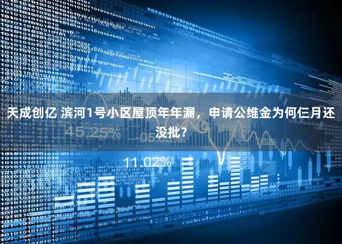 天成创亿 滨河1号小区屋顶年年漏，申请公维金为何仨月还没批？