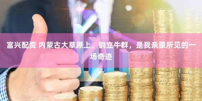 富兴配资 内蒙古大草原上，鹤立牛群，是我亲眼所见的一场奇迹