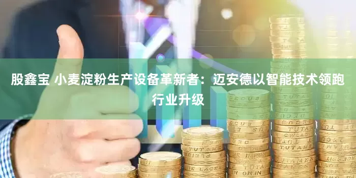 股鑫宝 小麦淀粉生产设备革新者：迈安德以智能技术领跑行业升级
