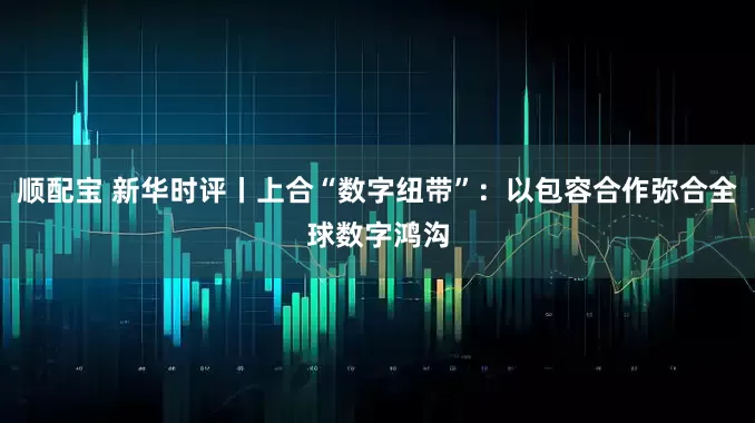 顺配宝 新华时评丨上合“数字纽带”：以包容合作弥合全球数字鸿沟