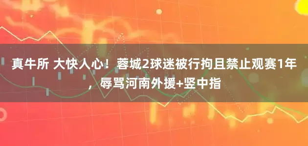 真牛所 大快人心！蓉城2球迷被行拘且禁止观赛1年，辱骂河南外援+竖中指
