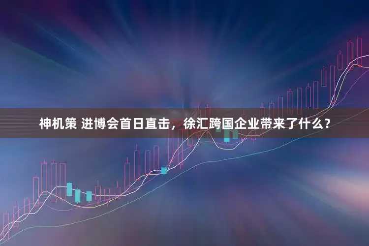 神机策 进博会首日直击，徐汇跨国企业带来了什么？