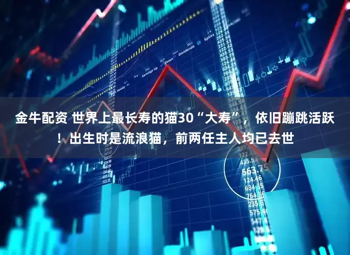金牛配资 世界上最长寿的猫30“大寿”，依旧蹦跳活跃！出生时是流浪猫，前两任主人均已去世