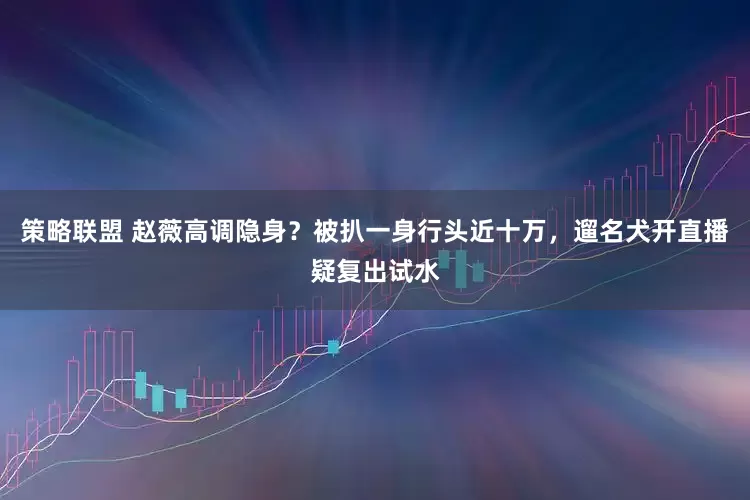 策略联盟 赵薇高调隐身？被扒一身行头近十万，遛名犬开直播疑复出试水