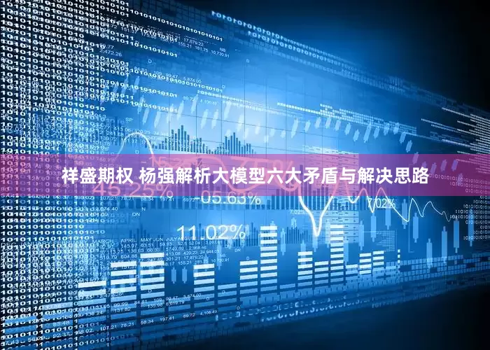 祥盛期权 杨强解析大模型六大矛盾与解决思路