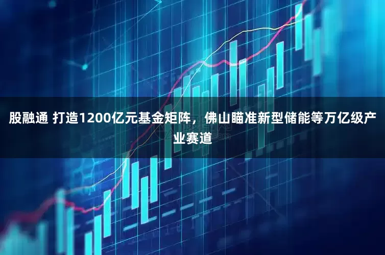 股融通 打造1200亿元基金矩阵,佛山瞄准新型储能等万亿级产业赛道