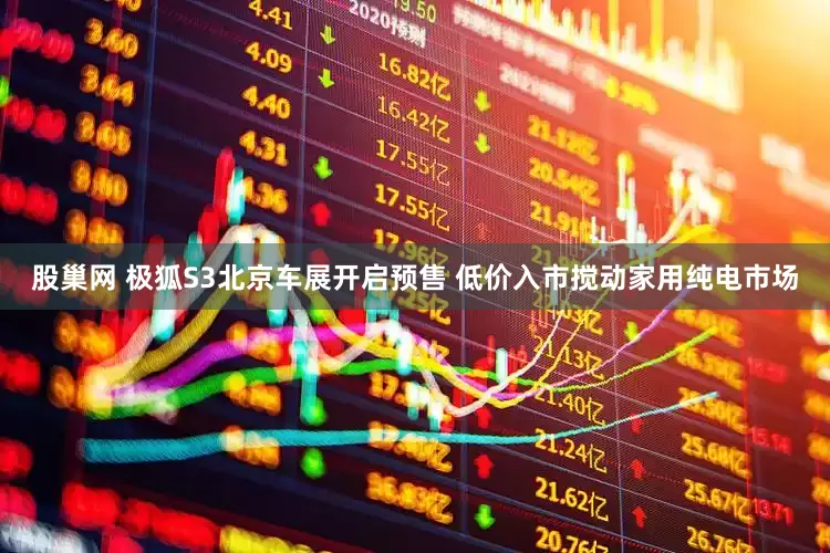股巢网 极狐S3北京车展开启预售 低价入市搅动家用纯电市场